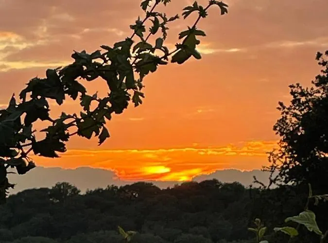 Landgoed Moerslag 롯지